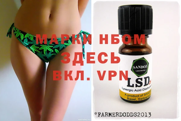 прущие грибы Верея