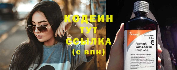 гидра Верхний Тагил