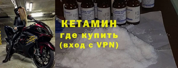 прущие грибы Верея