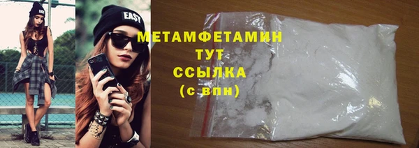 прущие грибы Верея
