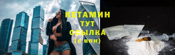 прущие грибы Верея