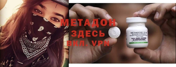 прущие грибы Верея