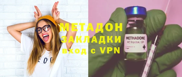 прущие грибы Верея