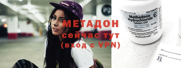 прущие грибы Верея