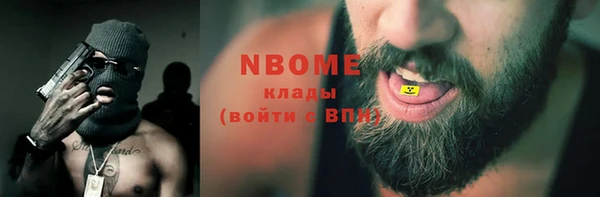 гидра Верхний Тагил