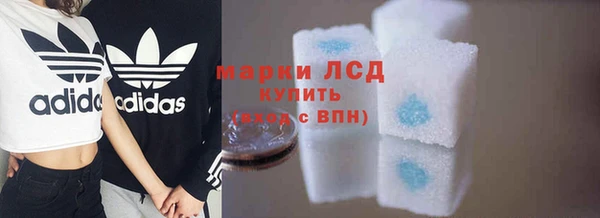 прущие грибы Верея