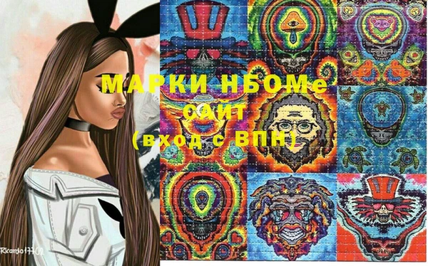 прущие грибы Верея