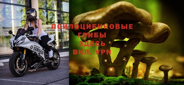 гидра Верхний Тагил