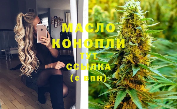 гидра Верхний Тагил
