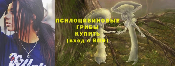 гидра Верхний Тагил