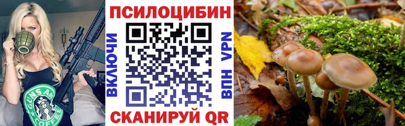 Купить закладки  Нефтегорск  Галлюциногенные грибы Psilocybine cubensis 